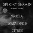 Load image into Gallery viewer, Spooky Season 9oz. Candle
