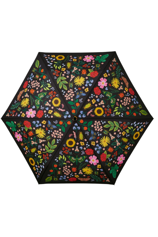 Curio Umbrella