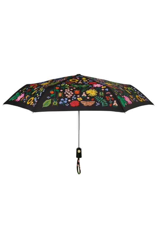 Curio Umbrella