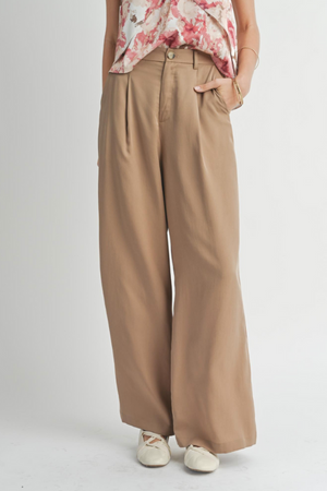 Dasia Pleated Pants<br>***Last One***