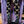 Load image into Gallery viewer, Butterfly Craze Knee High Socks
