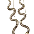 Load image into Gallery viewer, Etched Snake Earrings
