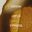 Load image into Gallery viewer, Letters To Stardust Candle
