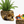 Load image into Gallery viewer, Gold Skull Planter
