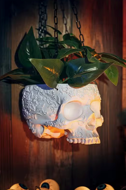hanging skull planter Hanging Skull Planter