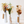 Load image into Gallery viewer, Mini Dried Floral Vase
