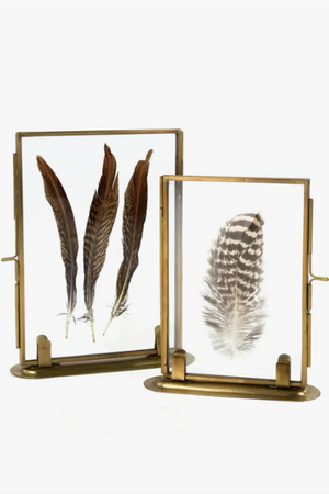 Frame with Feather